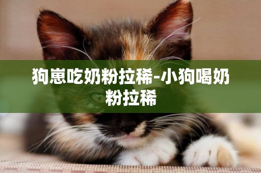 狗崽吃奶粉拉稀-小狗喝奶粉拉稀