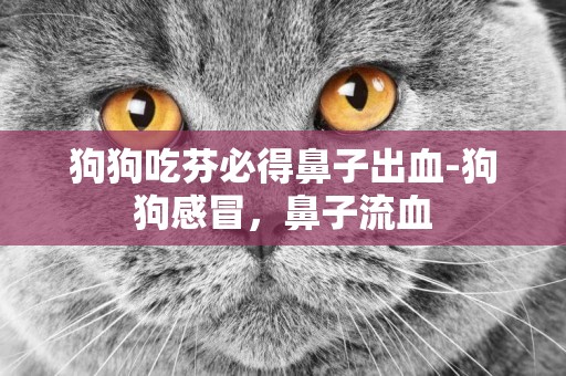 狗狗吃芬必得鼻子出血-狗狗感冒，鼻子流血