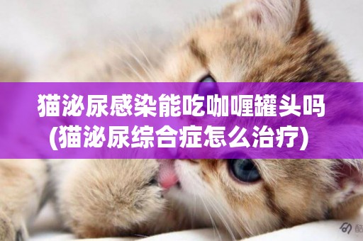 貓泌尿感染能吃咖喱罐頭嗎(貓泌尿綜合癥怎么治療) 