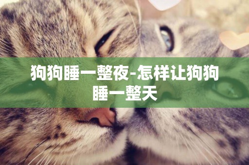 狗狗睡一整夜-怎樣讓狗狗睡一整天