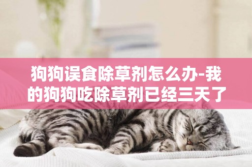 狗狗誤食除草劑怎么辦-我的狗狗吃除草劑已經三天了，也不吃東西，喝水都吐！有誰知道有效的解救方法嗎？急