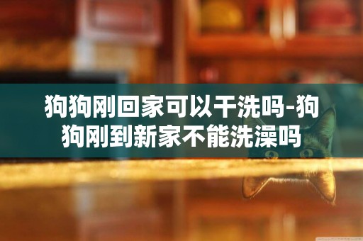 狗狗剛回家可以干洗嗎-狗狗剛到新家不能洗澡嗎