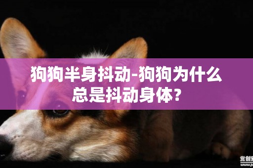 狗狗半身抖動-狗狗為什么總是抖動身體？