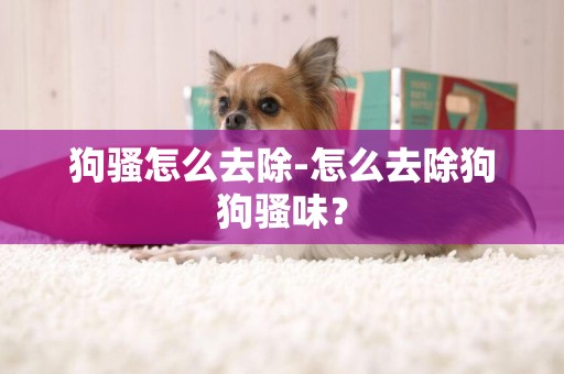 狗騷怎么去除-怎么去除狗狗騷味？