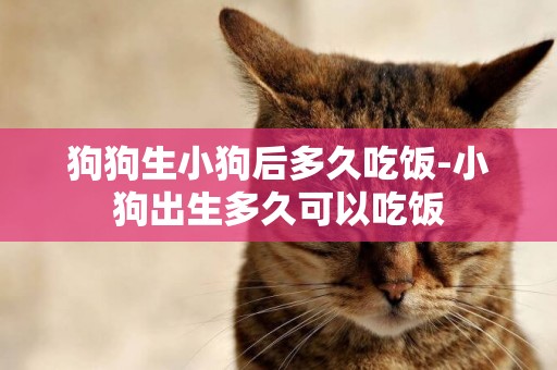 狗狗生小狗后多久吃飯-小狗出生多久可以吃飯