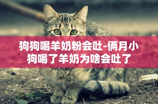 狗狗喝羊奶粉會吐-倆月小狗喝了羊奶為啥會吐了