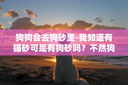 狗狗會去狗砂里-我知道有貓砂可是有狗砂嗎？不然狗狗怎么上廁所啊？