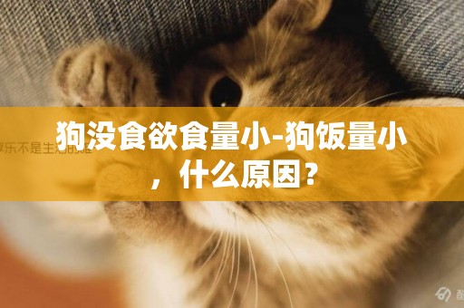 狗沒食欲食量小-狗飯量小，什么原因？
