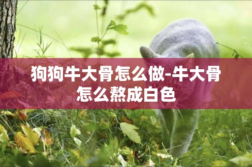 狗狗牛大骨怎么做-牛大骨怎么熬成白色
