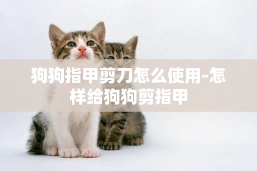 狗狗指甲剪刀怎么使用-怎樣給狗狗剪指甲