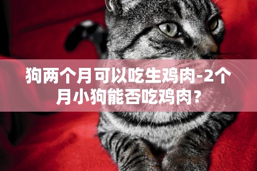 狗兩個月可以吃生雞肉-2個月小狗能否吃雞肉？