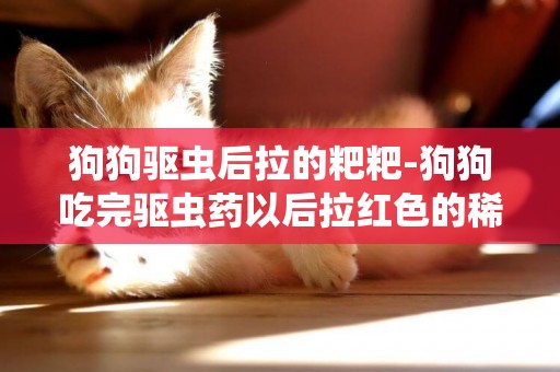 狗狗驅蟲后拉的粑粑-狗狗吃完驅蟲藥以后拉紅色的稀屎