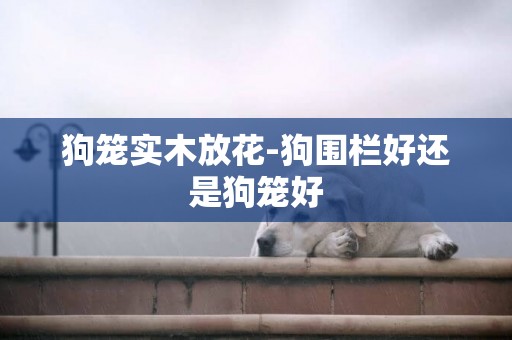 狗籠實木放花-狗圍欄好還是狗籠好