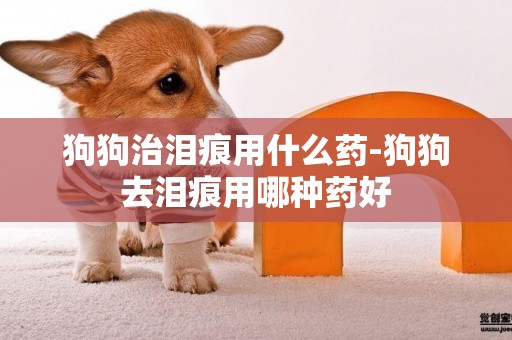 狗狗治淚痕用什么藥-狗狗去淚痕用哪種藥好