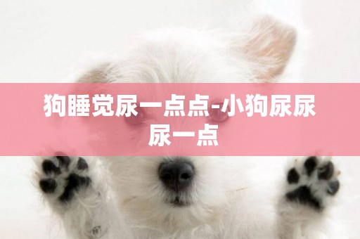 狗睡覺尿一點點-小狗尿尿 尿一點