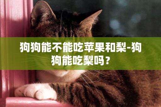 狗狗能不能吃蘋果和梨-狗狗能吃梨嗎？