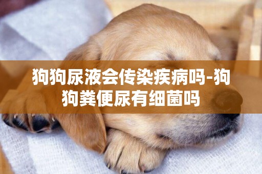 狗狗尿液會傳染疾病嗎-狗狗糞便尿有細菌嗎