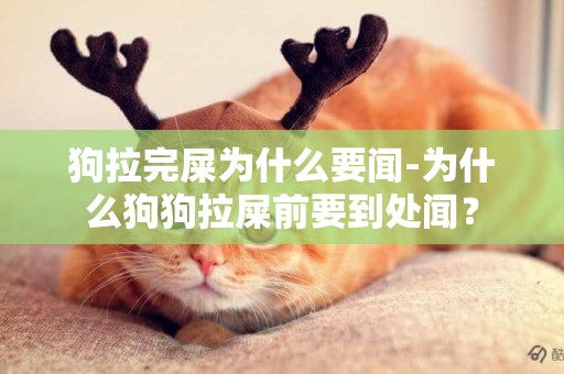 狗拉完屎為什么要聞-為什么狗狗拉屎前要到處聞？