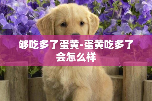 夠吃多了蛋黃-蛋黃吃多了會怎么樣