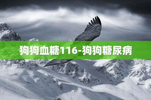 狗狗血糖116-狗狗糖尿病