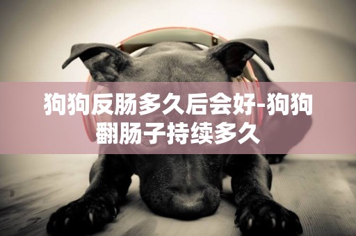 狗狗反腸多久后會好-狗狗翻腸子持續多久