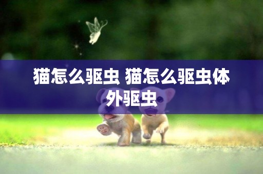 貓怎么驅蟲 貓怎么驅蟲體外驅蟲