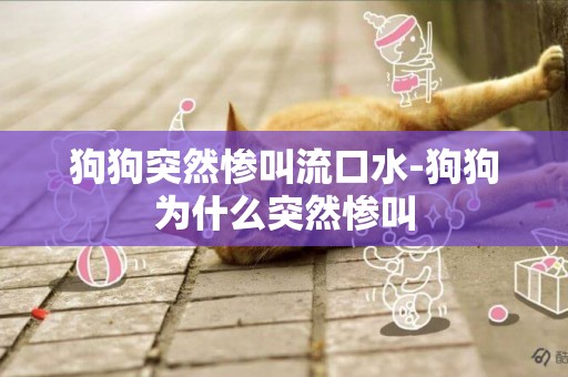 狗狗突然慘叫流口水-狗狗為什么突然慘叫