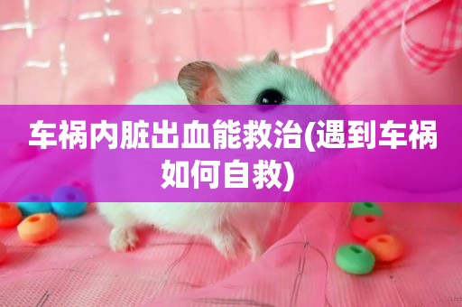 車禍內臟出血能救治(遇到車禍如何自救) 