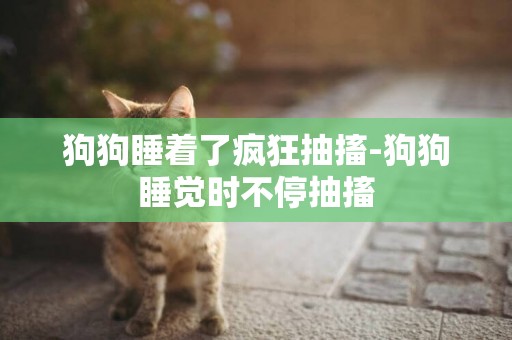 狗狗睡著了瘋狂抽搐-狗狗睡覺時不停抽搐