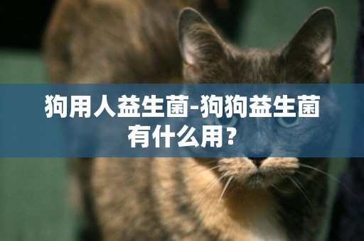 狗用人益生菌-狗狗益生菌有什么用？