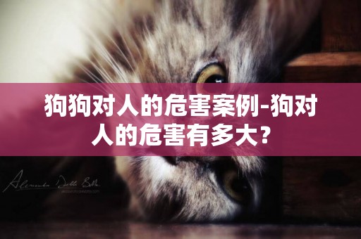 狗狗對人的危害案例-狗對人的危害有多大？