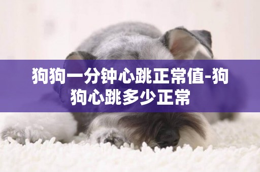 狗狗一分鐘心跳正常值-狗狗心跳多少正常