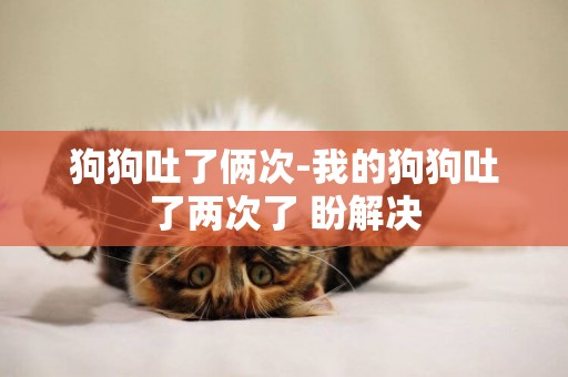 狗狗吐了倆次-我的狗狗吐了兩次了 盼解決
