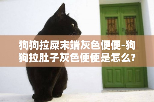 狗狗拉屎末端灰色便便-狗狗拉肚子灰色便便是怎么?辦