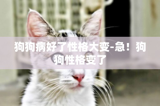 狗狗病好了性格大變-急！狗狗性格變了