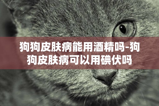 狗狗皮膚病能用酒精嗎-狗狗皮膚病可以用碘伏嗎