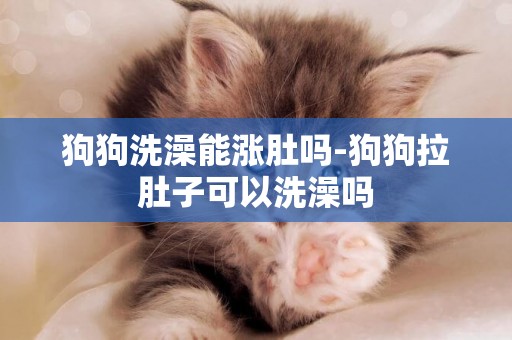 狗狗洗澡能漲肚嗎-狗狗拉肚子可以洗澡嗎