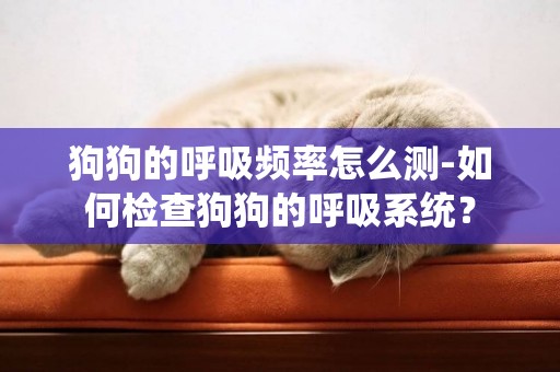 狗狗的呼吸頻率怎么測-如何檢查狗狗的呼吸系統？