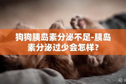 狗狗胰島素分泌不足-胰島素分泌過少會怎樣？