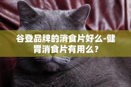 谷登品牌的消食片好么-健胃消食片有用么？
