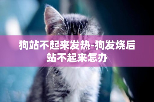 狗站不起來發熱-狗發燒后站不起來怎辦