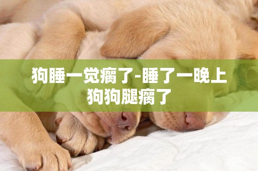 狗睡一覺瘸了-睡了一晚上狗狗腿瘸了