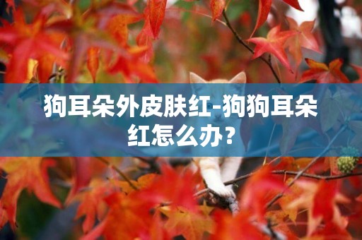 狗耳朵外皮膚紅-狗狗耳朵紅怎么辦？