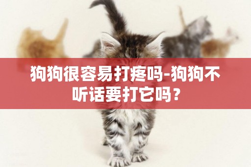 狗狗很容易打疼嗎-狗狗不聽話要打它嗎？