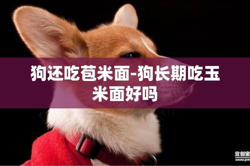 狗還吃苞米面-狗長期吃玉米面好嗎