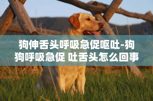 狗伸舌頭呼吸急促嘔吐-狗狗呼吸急促 吐舌頭怎么回事?