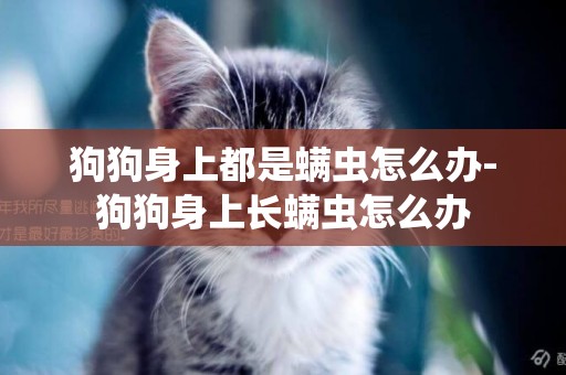 狗狗身上都是螨蟲怎么辦-狗狗身上長螨蟲怎么辦