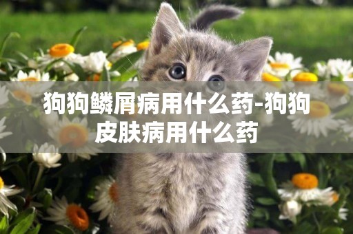 狗狗鱗屑病用什么藥-狗狗皮膚病用什么藥