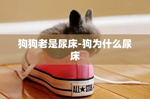 狗狗老是尿床-狗為什么尿床
