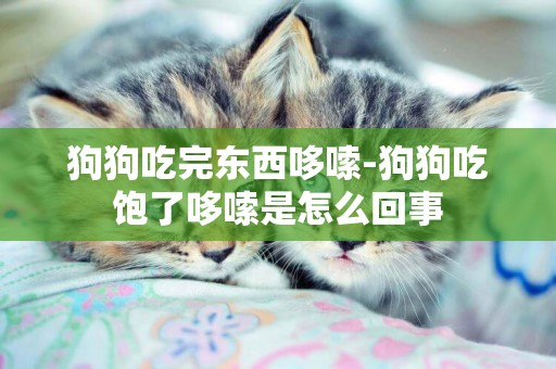 狗狗吃完東西哆嗦-狗狗吃飽了哆嗦是怎么回事